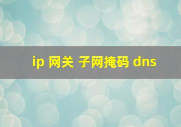 ip 网关 子网掩码 dns